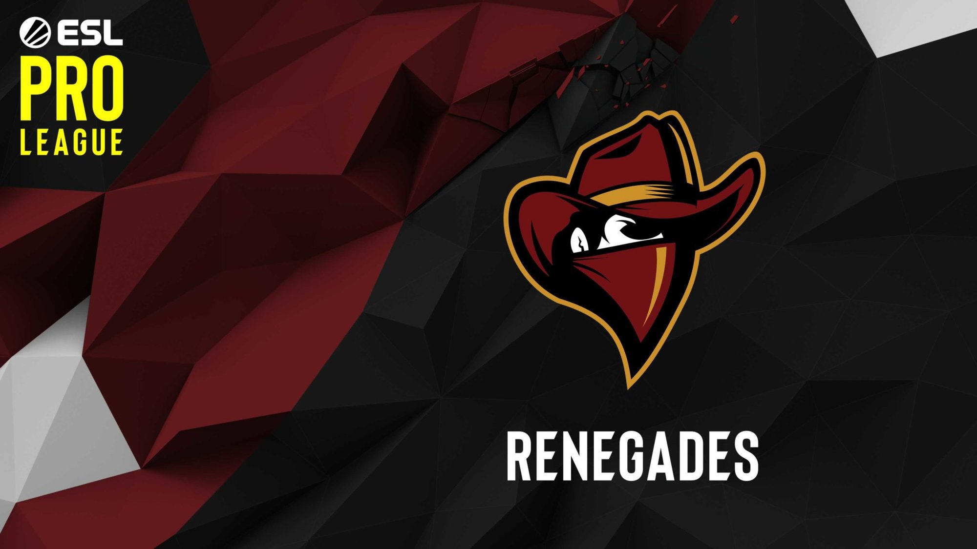 Renegades снялись с EPL S14 по CS:GO